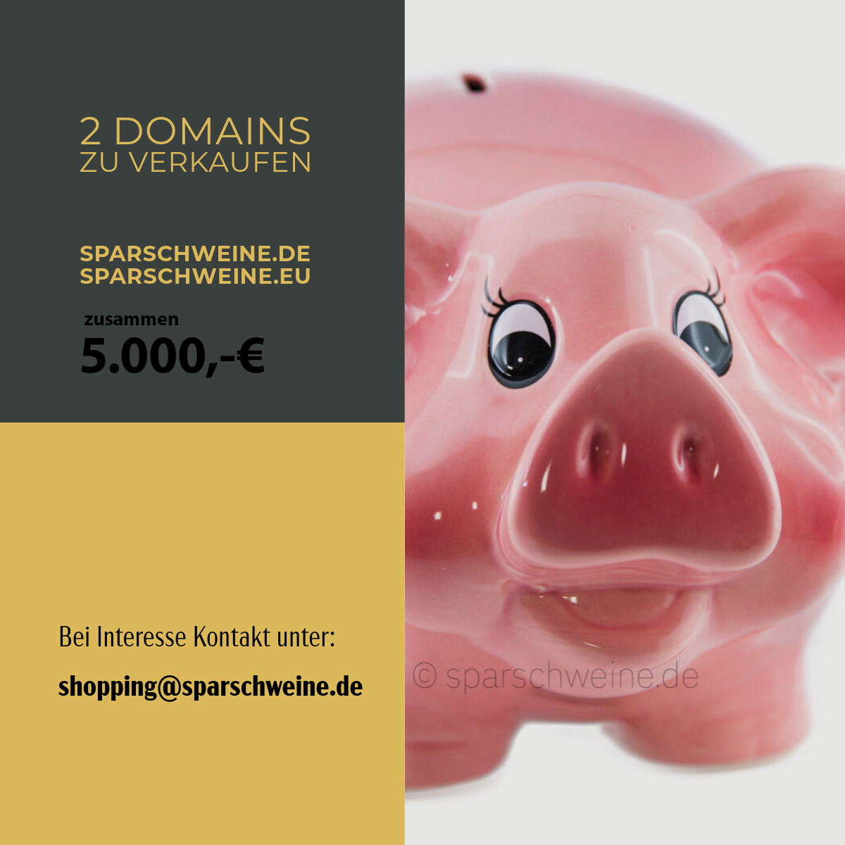 Website sparschweine.de zu verkaufen.